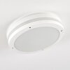 Wollongong Plafoniera da esterno LED Bianco, 1-Luce