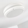 Wollongong Plafoniera da esterno LED Bianco, 1-Luce