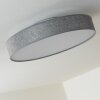 Victoria Plafoniera LED Bianco, 1-Luce