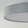 Victoria Plafoniera LED Bianco, 1-Luce