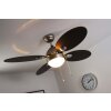 Globo WADE Ventilatore Acciaio inox, Nichel opaco, 1-Luce