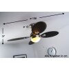 Globo WADE Ventilatore Acciaio inox, Nichel opaco, 1-Luce