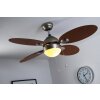 Globo WADE Ventilatore Acciaio inox, Nichel opaco, 1-Luce