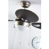 Globo WADE Ventilatore Acciaio inox, Nichel opaco, 1-Luce