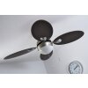 Globo WADE Ventilatore Acciaio inox, Nichel opaco, 1-Luce