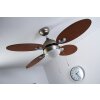 Globo WADE Ventilatore Acciaio inox, Nichel opaco, 1-Luce