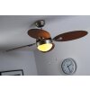 Globo WADE Ventilatore Acciaio inox, Nichel opaco, 1-Luce