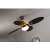 Globo WADE Ventilatore Acciaio inox, Nichel opaco, 1-Luce