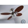 Globo WADE Ventilatore Acciaio inox, Nichel opaco, 1-Luce