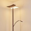 Lampada da terra Lasona LED Marrone, Argento, 2-Luci