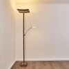 Lampada da terra Lasona LED Marrone, Argento, 2-Luci