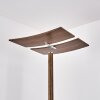 Lampada da terra Lasona LED Marrone, Argento, 2-Luci