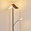 Lampada da terra Lasona LED Marrone, Argento, 2-Luci