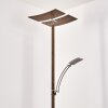 Lampada da terra Lasona LED Marrone, Argento, 2-Luci