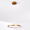 Canisteo Lampadario a sospensione LED Oro, 1-Luce