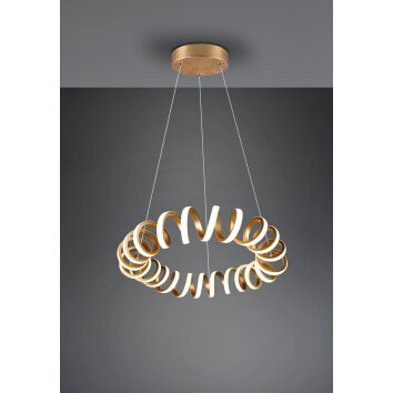 Trio Curl Lampada a Sospensione LED Oro, 1-Luce