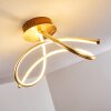 Wengi Plafoniera LED Oro, 1-Luce