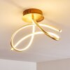 Wengi Plafoniera LED Oro, 1-Luce