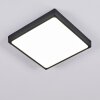 Kragos Plafoniera LED Nero, Bianco, 1-Luce