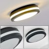 Wollongong Plafoniera da esterno LED Antracite, 1-Luce