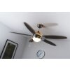 Globo AZURA Ventilatore Nichel opaco, 1-Luce