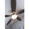 Globo AZURA Ventilatore Nichel opaco, 1-Luce