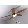 Globo AZURA Ventilatore Nichel opaco, 1-Luce