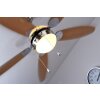 Globo AZURA Ventilatore Nichel opaco, 1-Luce