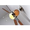 Globo AZURA Ventilatore Nichel opaco, 1-Luce