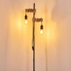 Barbengo Lampada da terra Marrone, Nero, 2-Luci