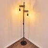 Barbengo Lampada da terra Marrone, Nero, 2-Luci