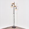 Barbengo Lampada da terra Marrone, Nero, 2-Luci