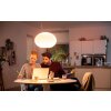 Philips Hue Ambiance White & Color Flourish Lampada a Sospensione LED Bianco, 1-Luce, Cambia colore