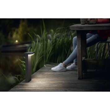 Philips Bustan Lampada con piedistallo LED Antracite, 2-Luci