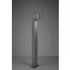 Trio Roya Lampioncino Segnapasso Antracite, 1-Luce