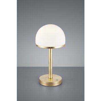 Trio BERLIN Lampada da Tavolo LED Oro, 1-Luce