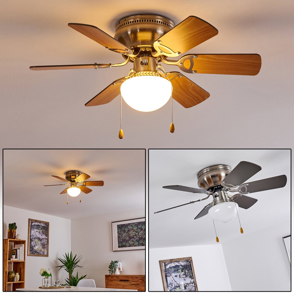 Trillo ventilatore da soffitto Nichel opaco, 1-Luce main product photo