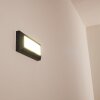 Alkmaar Applique da esterno LED Antracite, 1-Luce