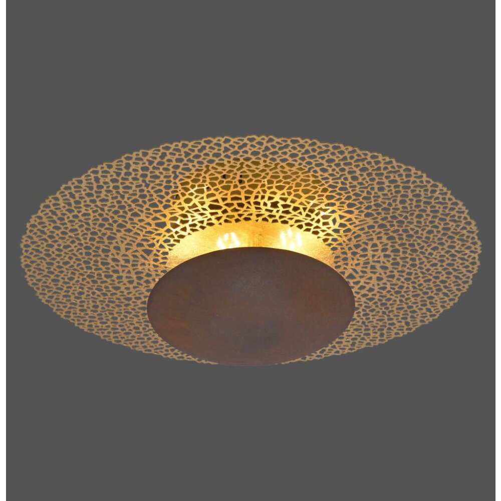 Paul Neuhaus NEVIS Plafoniera LED Ruggine, 1-Luce main product photo