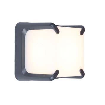 Lutec ARMOR Applique da esterno LED Antracite, 1-Luce