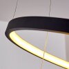 Canisteo Lampadario a sospensione LED Nero, 2-Luci