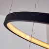 Canisteo Lampadario a sospensione LED Nero, 2-Luci