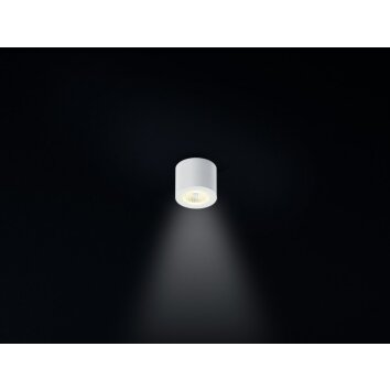 Helestra OSO Plafoniera LED Bianco, 1-Luce