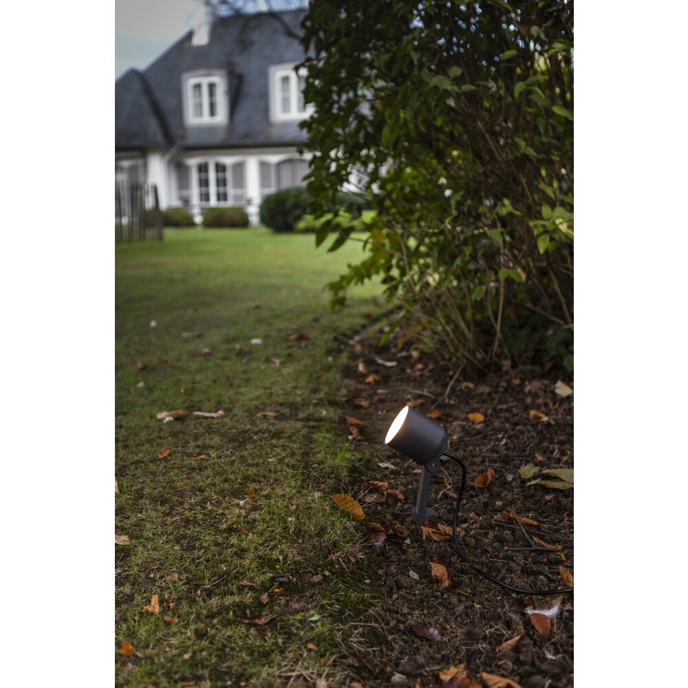 Lutec Explorer Faretto da giardino LED Antracite, 1-Luce main product photo