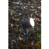 Lutec Explorer Faretto da giardino LED Antracite, 1-Luce