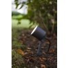 Lutec Explorer Faretto da giardino LED Antracite, 1-Luce