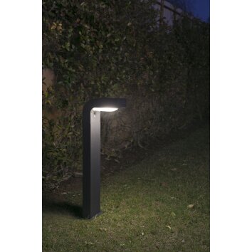 Faro klam Illuminazione viale Antracite, 1-Luce