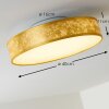 Victoria Plafoniera LED Bianco, 1-Luce