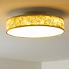 Victoria Plafoniera LED Bianco, 1-Luce