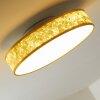 Victoria Plafoniera LED Bianco, 1-Luce